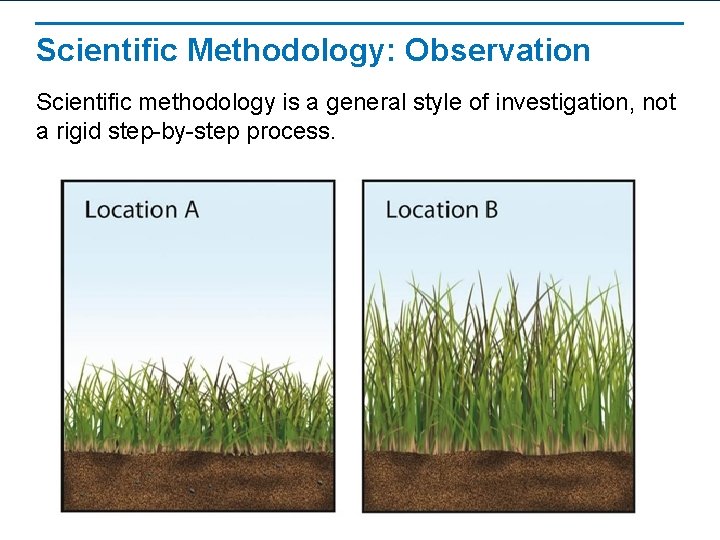 Scientific Methodology: Observation Scientific methodology is a general style of investigation, not a rigid