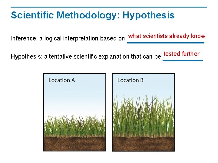 Scientific Methodology: Hypothesis Inference: a logical interpretation based on what scientists already know Hypothesis: