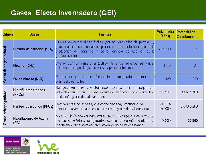 Gases Efecto Invernadero (GEI) 