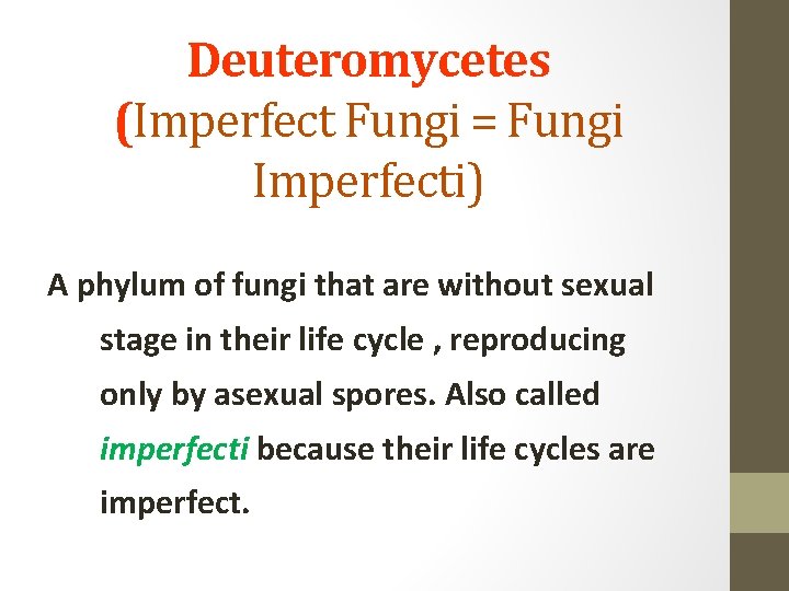 Deuteromycetes (Imperfect Fungi = Fungi Imperfecti) A phylum of fungi that are without sexual