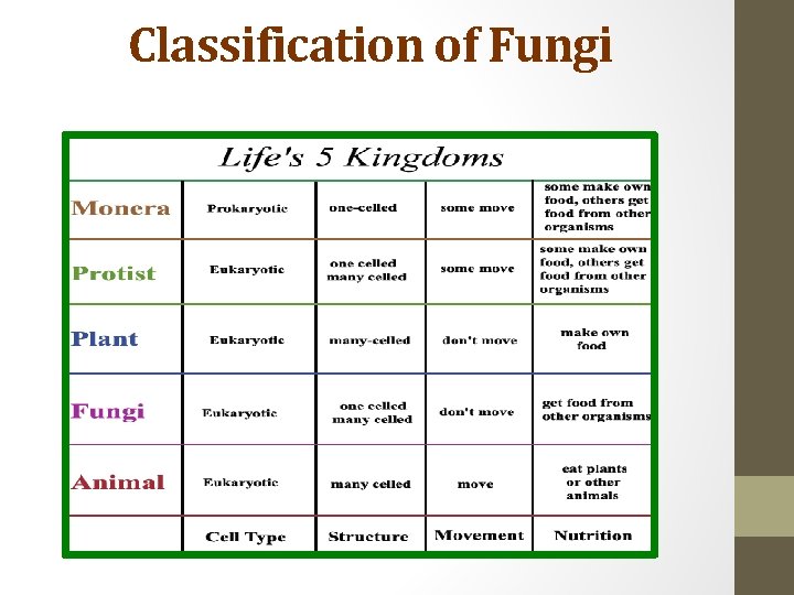 Classification of Fungi 