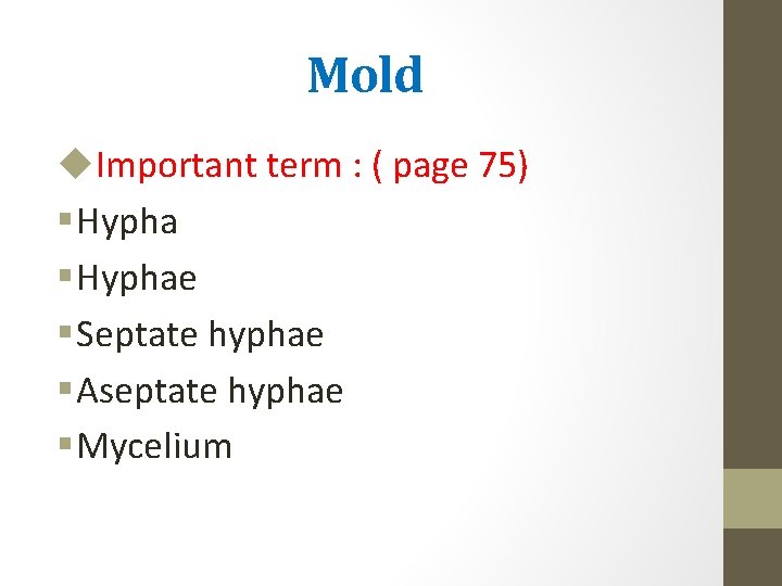 Mold u. Important term : ( page 75) § Hyphae § Septate hyphae §