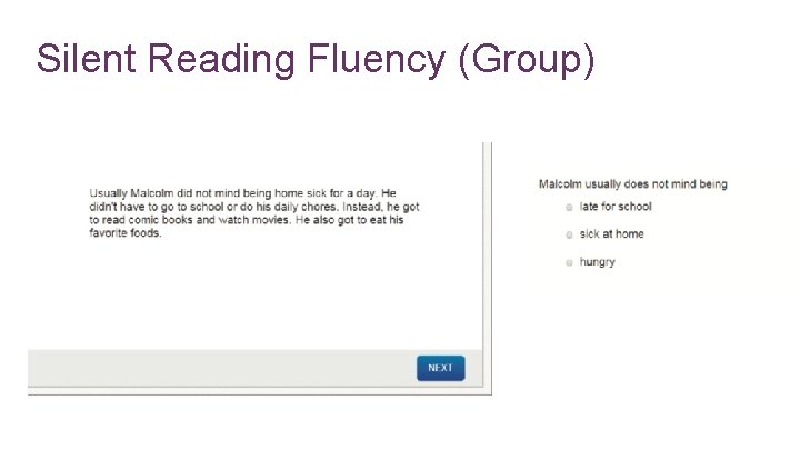 Silent Reading Fluency (Group) 
