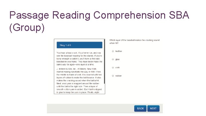 Passage Reading Comprehension SBA (Group) 