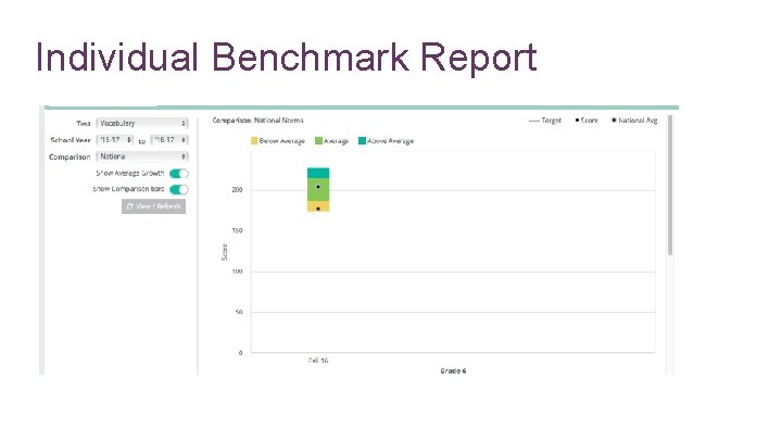 Individual Benchmark Report 