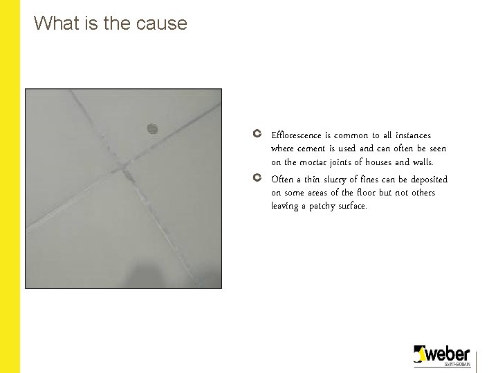 What is the cause Efflorescence is common to all instances where cement is used