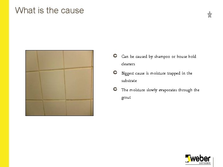 What is the cause Can be caused by shampoo or house hold cleaners Biggest