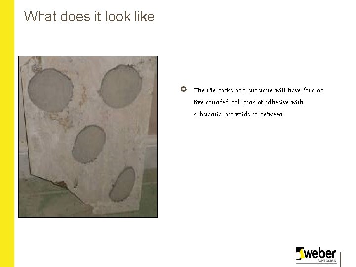 What does it look like The tile backs and substrate will have four or