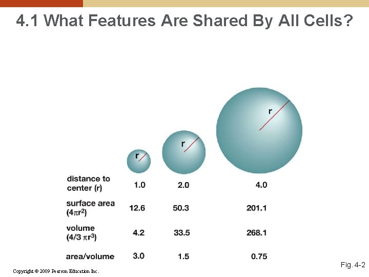 4. 1 What Features Are Shared By All Cells? Copyright © 2009 Pearson Education