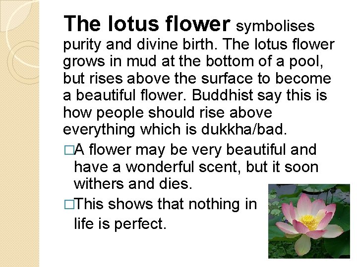The lotus flower symbolises purity and divine birth. The lotus flower grows in mud