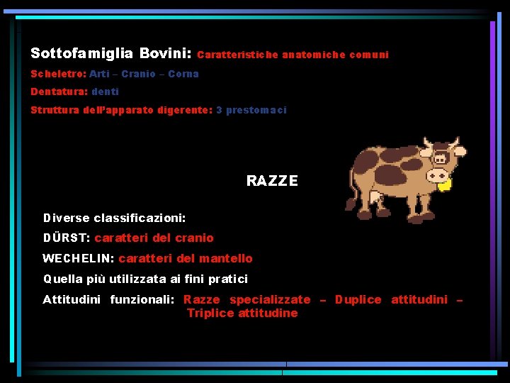 Sottofamiglia Bovini: Caratteristiche anatomiche comuni Scheletro: Arti – Cranio – Corna Dentatura: denti Struttura