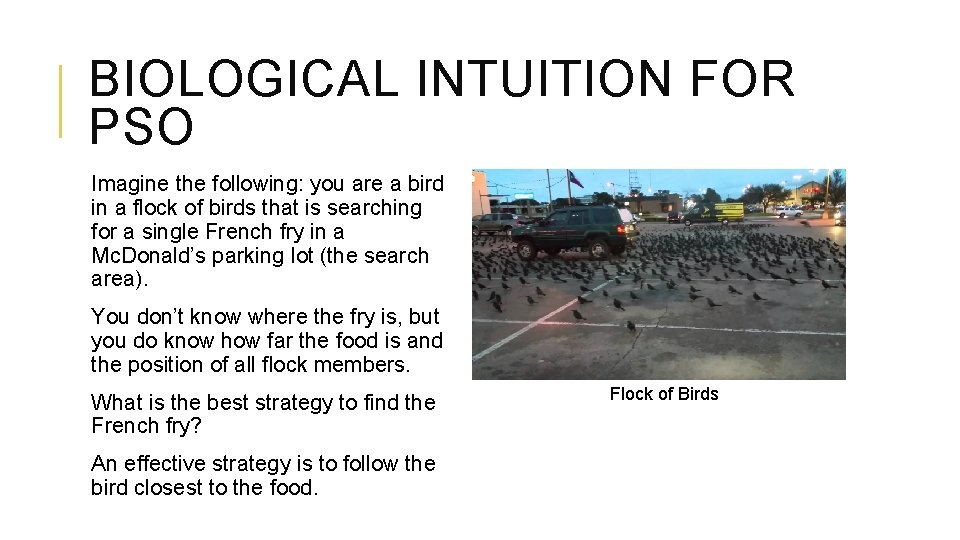 BIOLOGICAL INTUITION FOR PSO Imagine the following: you are a bird in a flock