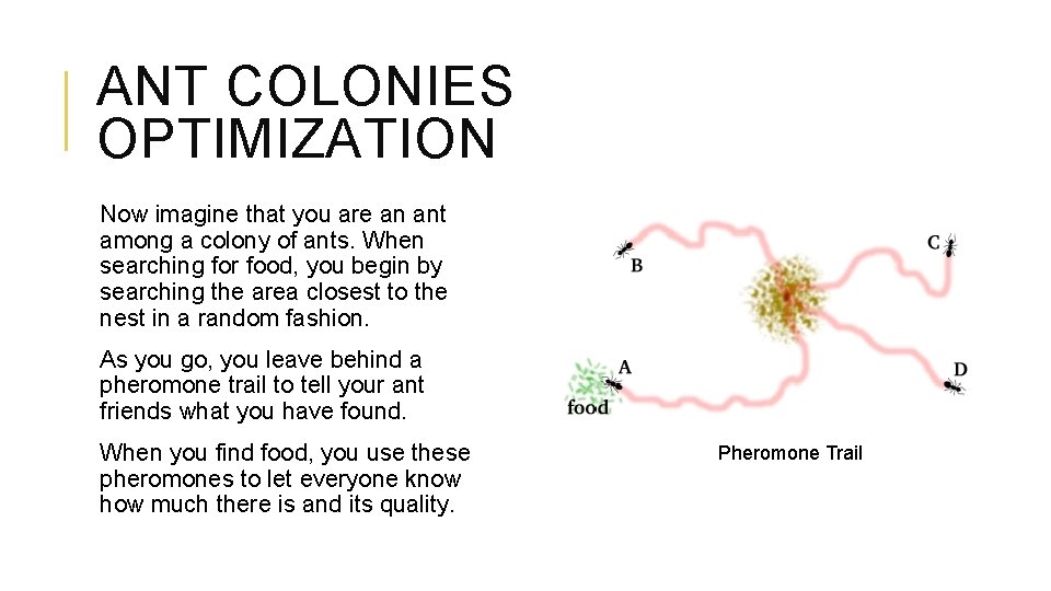 ANT COLONIES OPTIMIZATION Now imagine that you are an ant among a colony of