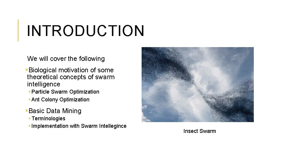 INTRODUCTION We will cover the following §Biological motivation of some theoretical concepts of swarm