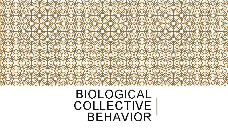 BIOLOGICAL COLLECTIVE BEHAVIOR 
