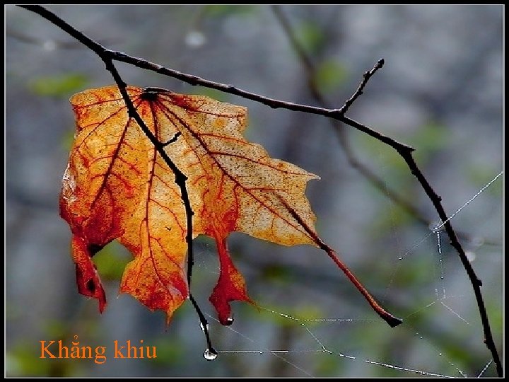Khẳng khiu 