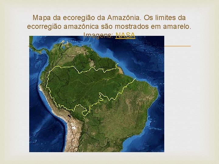 Mapa da ecoregião da Amazônia. Os limites da ecorregião amazônica são mostrados em amarelo.