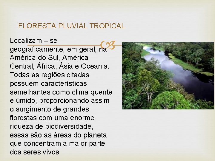 FLORESTA PLUVIAL TROPICAL Localizam – se geograficamente, em geral, na América do Sul, América