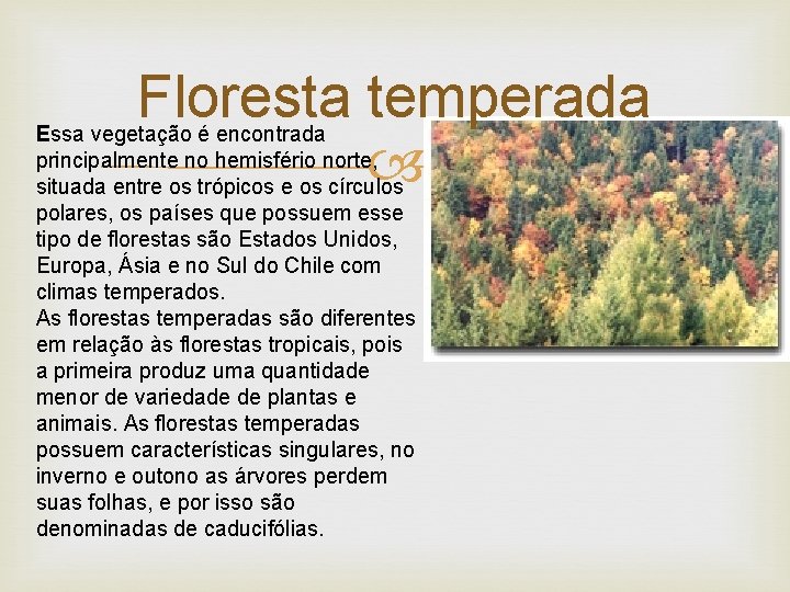 Floresta temperada Essa vegetação é encontrada principalmente no hemisfério norte, situada entre os trópicos