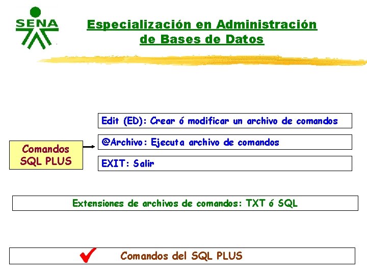 Especialización en Administración de Bases de Datos Edit (ED): Crear ó modificar un archivo