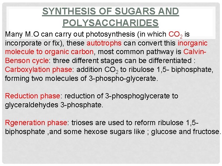 SYNTHESIS OF SUGARS AND POLYSACCHARIDES Many M. O can carry out photosynthesis (in which