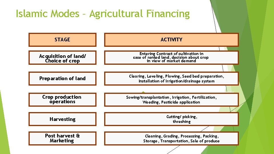 Islamic Modes – Agricultural Financing STAGE ACTIVITY Acquisition of land/ Choice of crop Entering