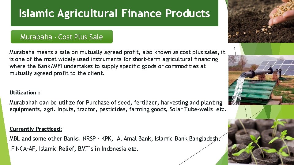 Islamic Agricultural Finance Products Murabaha – Cost Plus Sale Murabaha means a sale on