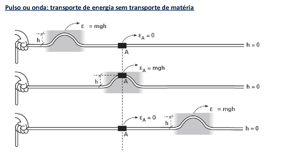 Pulso ou onda: transporte de energia sem transporte de matéria 