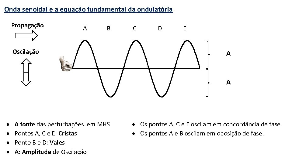 Onda senoidal e a equação fundamental da ondulatória Propagação A B Oscilação C D