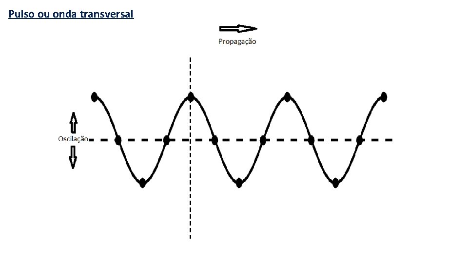 Pulso ou onda transversal 