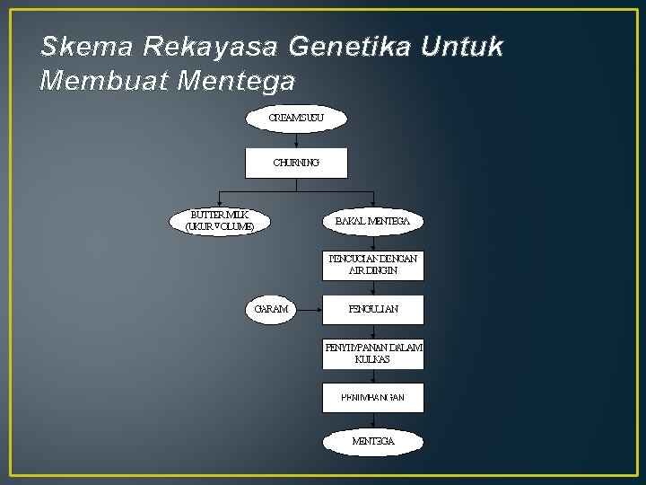 Skema Rekayasa Genetika Untuk Membuat Mentega 