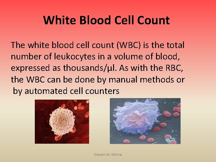 White Blood Cell Count The white blood cell count (WBC) is the total number