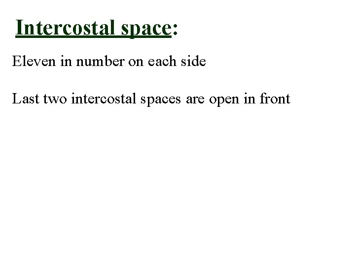 Intercostal space: Eleven in number on each side Last two intercostal spaces are open Intercostal space: Eleven in number on each side Last two intercostal spaces are open