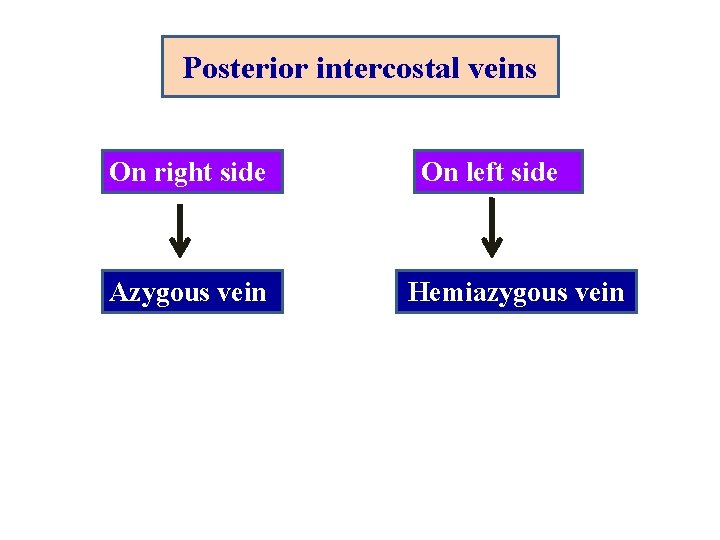 Posterior intercostal veins On right side Azygous vein On left side Hemiazygous vein  Posterior intercostal veins On right side Azygous vein On left side Hemiazygous vein