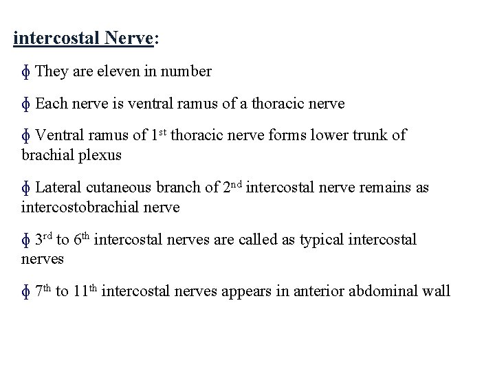 intercostal Nerve: ɸ They are eleven in number ɸ Each nerve is ventral ramus intercostal Nerve: ɸ They are eleven in number ɸ Each nerve is ventral ramus