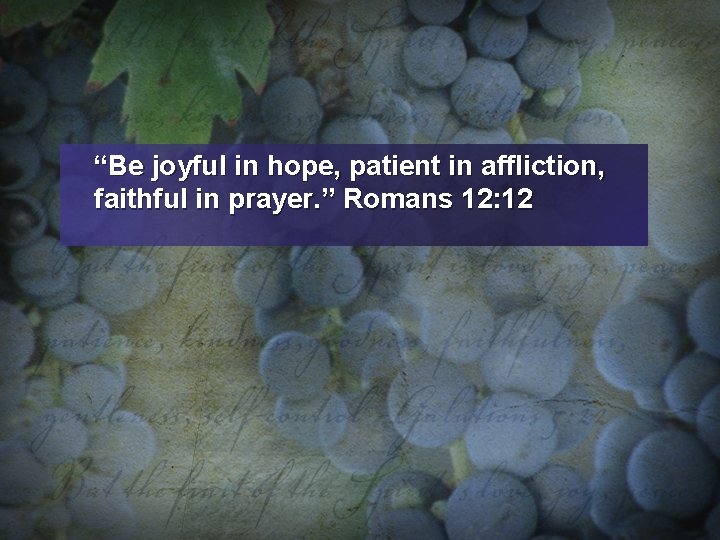 “Be joyful in hope, patient in affliction, faithful in prayer. ” Romans 12: 12
