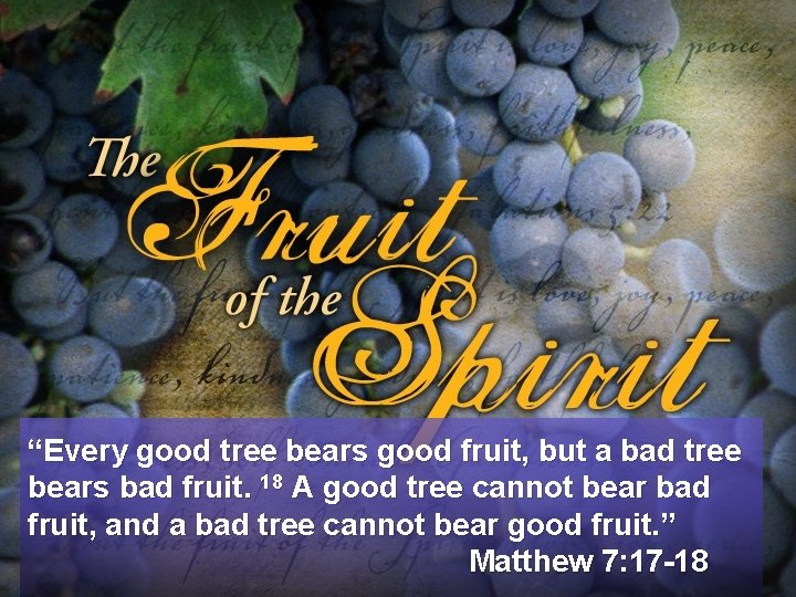 “Every good tree bears good fruit, but a bad tree bears bad fruit. 18