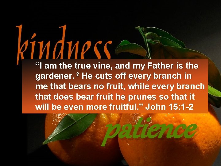 “I am the true vine, and my Father is the gardener. 2 He cuts