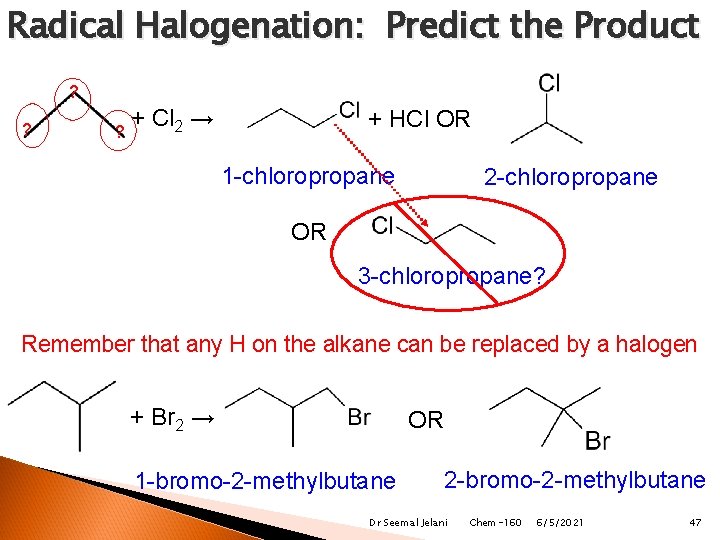 Radical Halogenation: Predict the Product ? ? ? + Cl 2 → + HCl