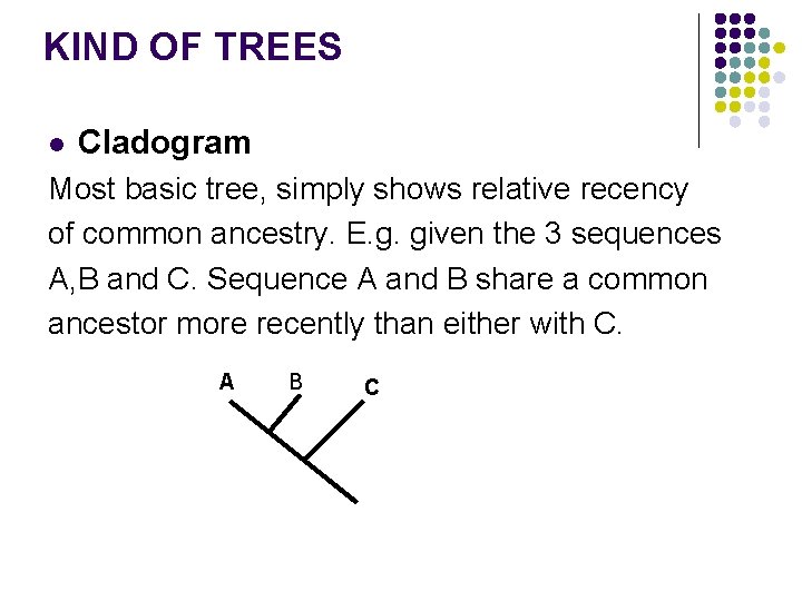KIND OF TREES l Cladogram Most basic tree, simply shows relative recency of common KIND OF TREES l Cladogram Most basic tree, simply shows relative recency of common