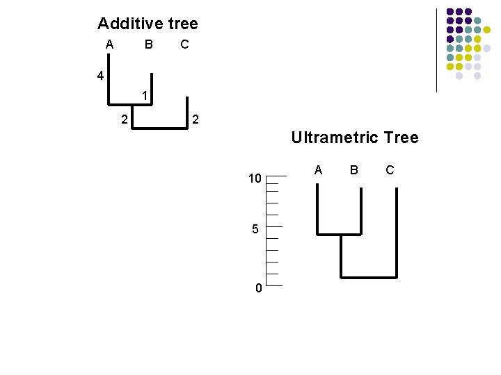 Additive tree A B C 4 1 2 2 Ultrametric Tree 10 5 0 Additive tree A B C 4 1 2 2 Ultrametric Tree 10 5 0