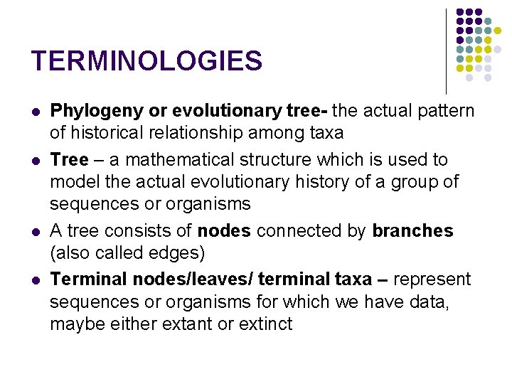 TERMINOLOGIES l l Phylogeny or evolutionary tree- the actual pattern of historical relationship among TERMINOLOGIES l l Phylogeny or evolutionary tree- the actual pattern of historical relationship among
