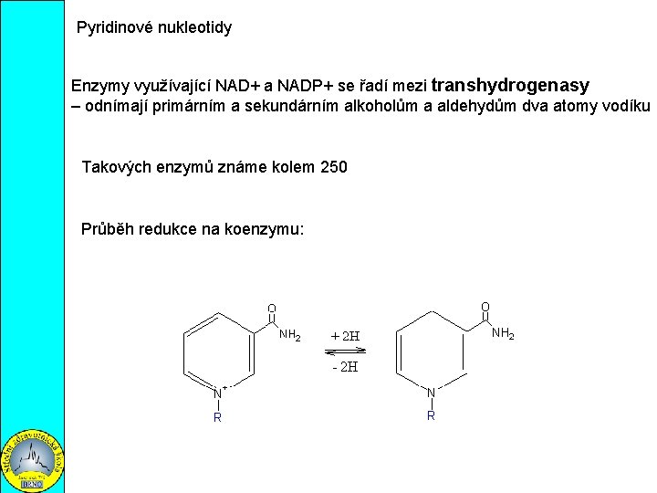 Pyridinové nukleotidy Enzymy využívající NAD+ a NADP+ se řadí mezi transhydrogenasy – odnímají primárním