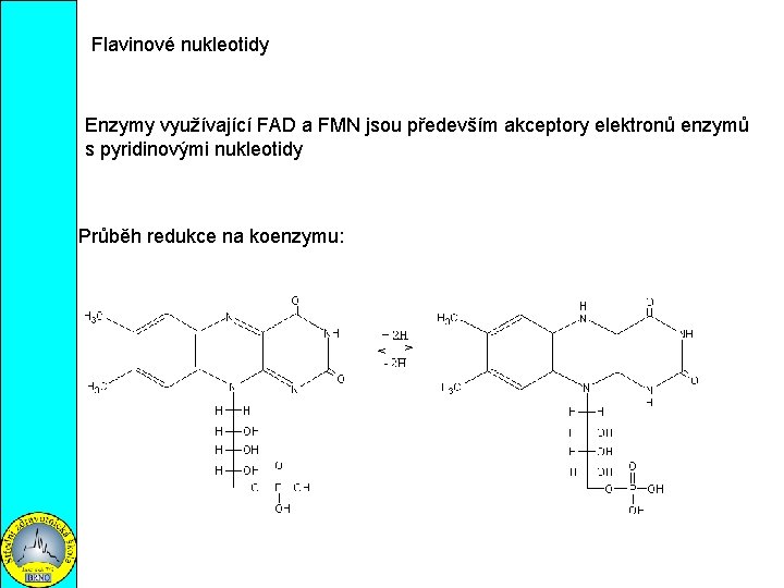 Flavinové nukleotidy Enzymy využívající FAD a FMN jsou především akceptory elektronů enzymů s pyridinovými