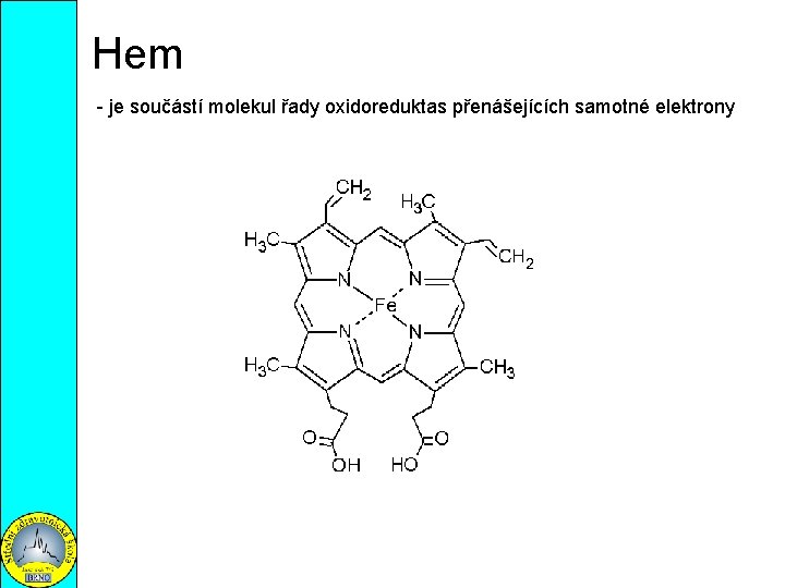 Hem - je součástí molekul řady oxidoreduktas přenášejících samotné elektrony 