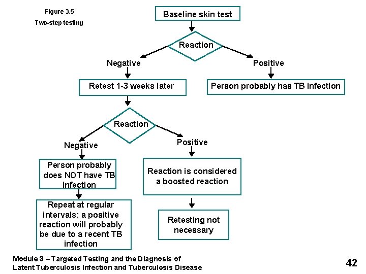 Figure 3. 5 Baseline skin test Two-step testing Reaction Negative Positive Retest 1 -3