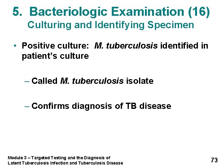 5. Bacteriologic Examination (16) Culturing and Identifying Specimen • Positive culture: M. tuberculosis identified