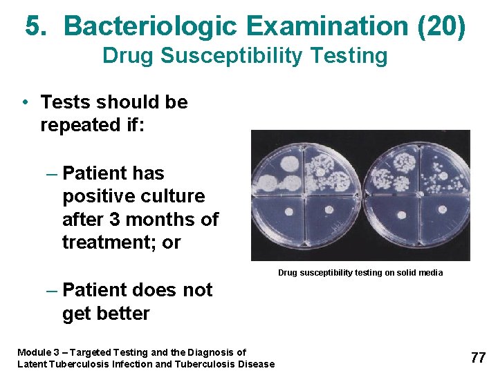 5. Bacteriologic Examination (20) Drug Susceptibility Testing • Tests should be repeated if: –