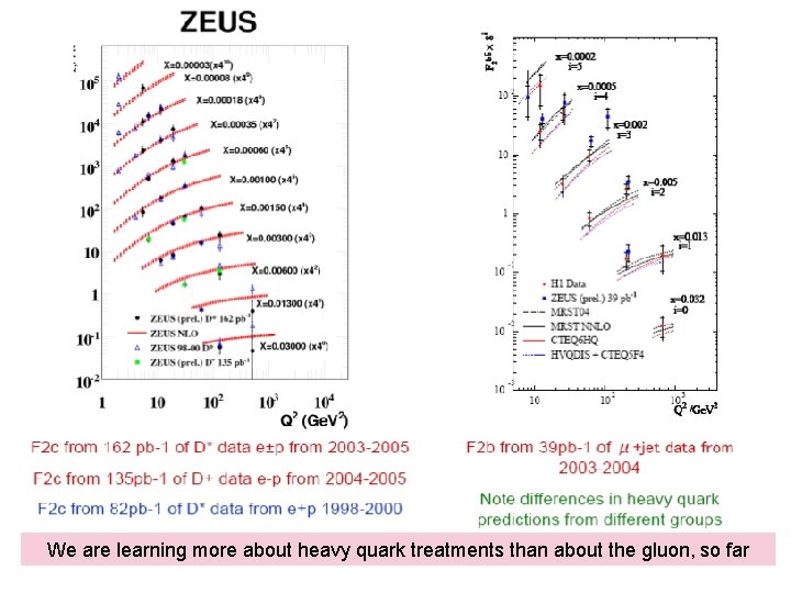 We are learning more about heavy quark treatments than about the gluon, so far