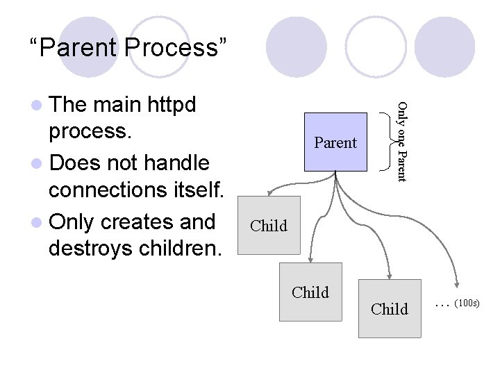“Parent Process” main httpd process. l Does not handle connections itself. l Only creates